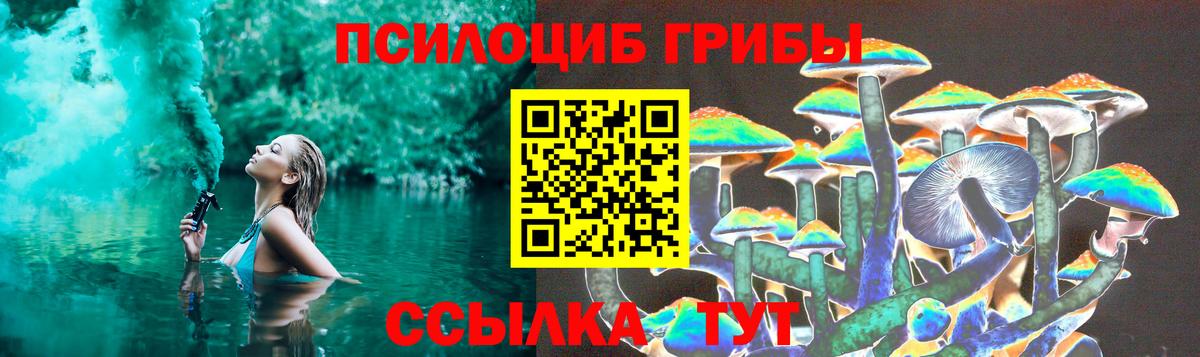 Химки  Галлюциногенные грибы Psilocybine cubensis  Вход с VPN 
